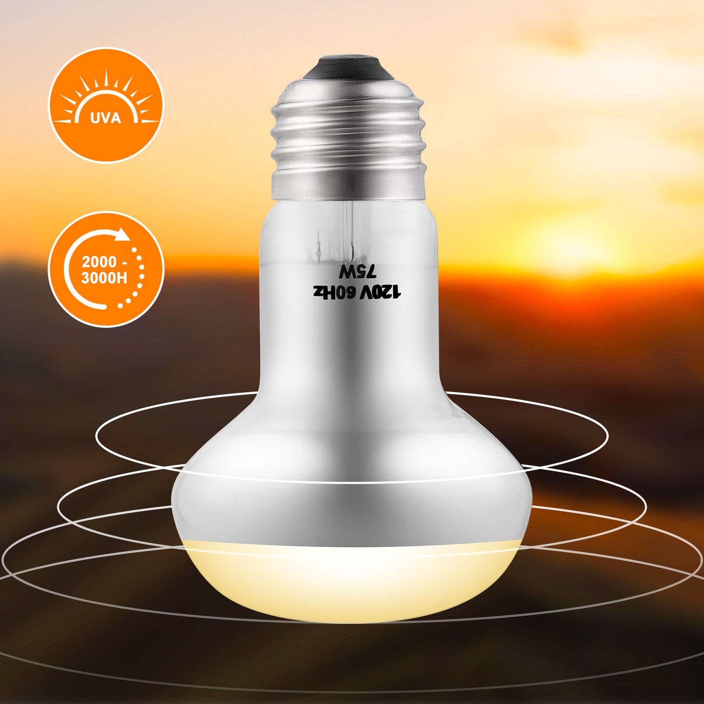 DXOPHIEX 2 Pack 75W Reptile Heat Lamp Bulbs Reptile Heat Bulbs, UVA Basking Bulb and Infrared Light Bulb Combo, Basking Bulb Basking Light for Bearded Dragon, Turtles, Snake and Lizard