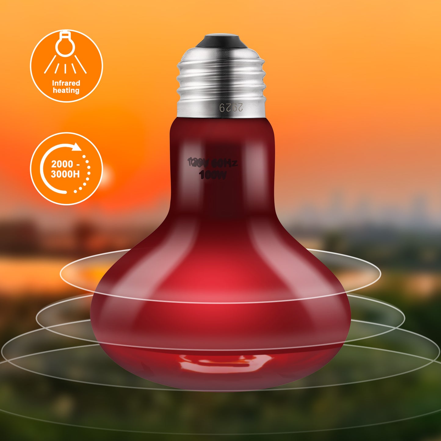 DXOPHIEX 2 Pack 100W Reptile Heat Lamp Bulbs Reptile Heat Bulbs, UVA Basking Bulb and Infrared Light Bulb Combo, Basking Bulb Basking Light for Bearded Dragon, Turtles, Snake and Lizard