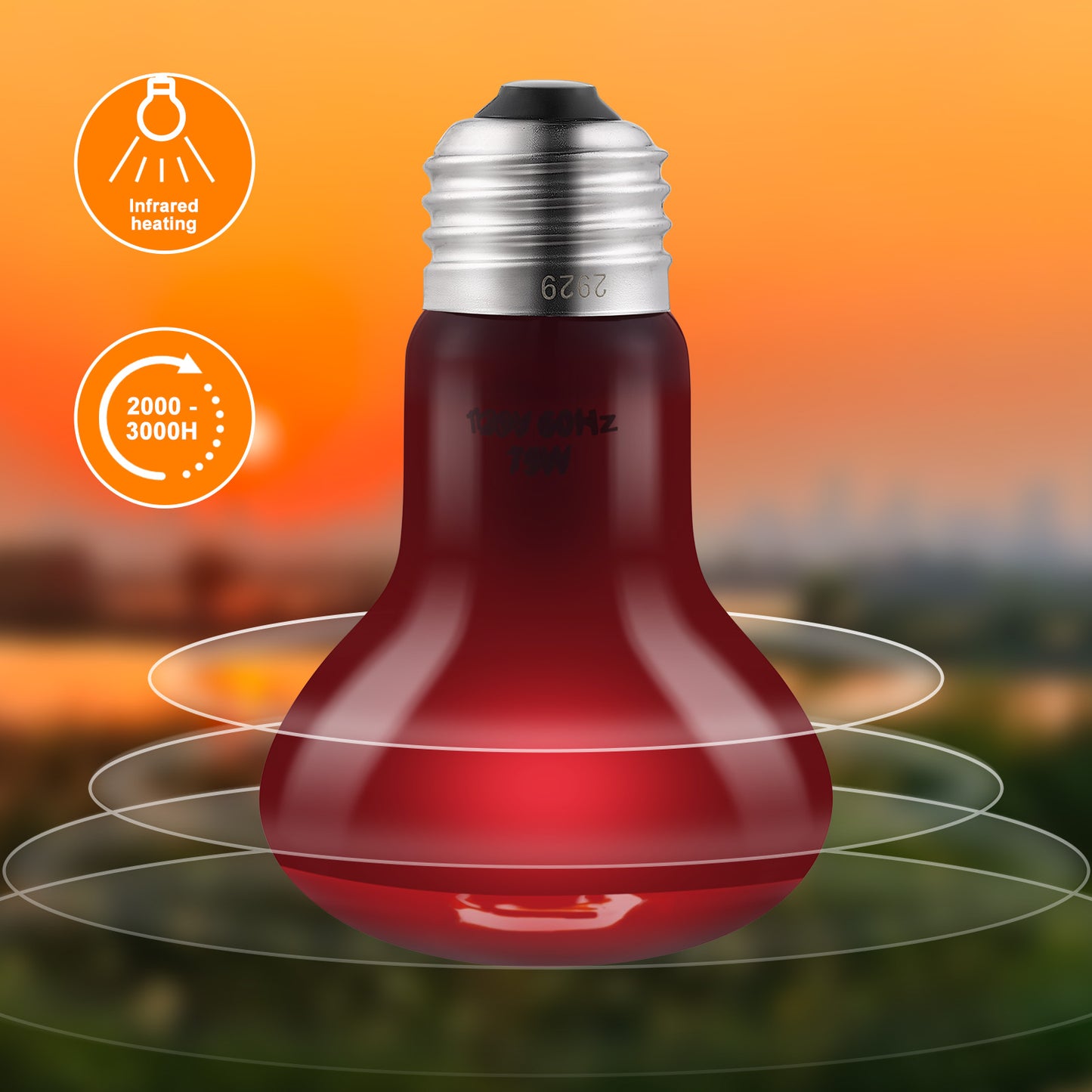 DXOPHIEX 2 Pack 75W Reptile Heat Lamp Bulbs Reptile Heat Bulbs, UVA Basking Bulb and Infrared Light Bulb Combo, Basking Bulb Basking Light for Bearded Dragon, Turtles, Snake and Lizard