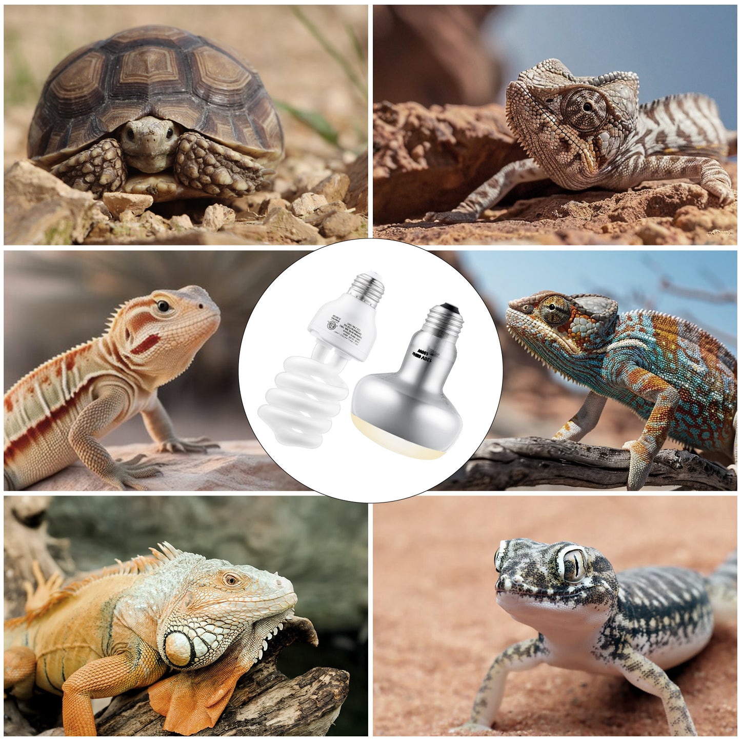 DXOPHIEX 100W Reptile Heat Lamp Bulb and 26W 10.0 UVB Bulb Combo Pack, UVA Basking Bulb and UVB Light for Reptiles, Basking Light for Bearded Dragon, Turtles, Snake and Lizard