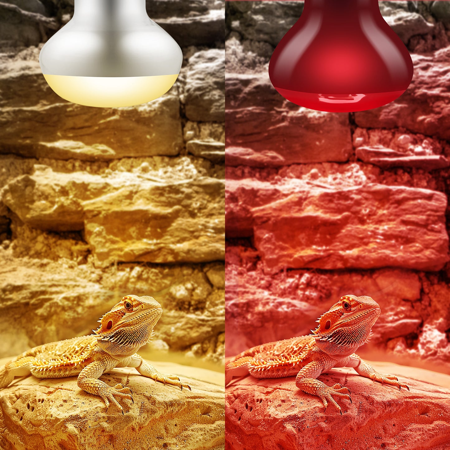 DXOPHIEX 2 Pack 75W Reptile Heat Lamp Bulbs Reptile Heat Bulbs, UVA Basking Bulb and Infrared Light Bulb Combo, Basking Bulb Basking Light for Bearded Dragon, Turtles, Snake and Lizard