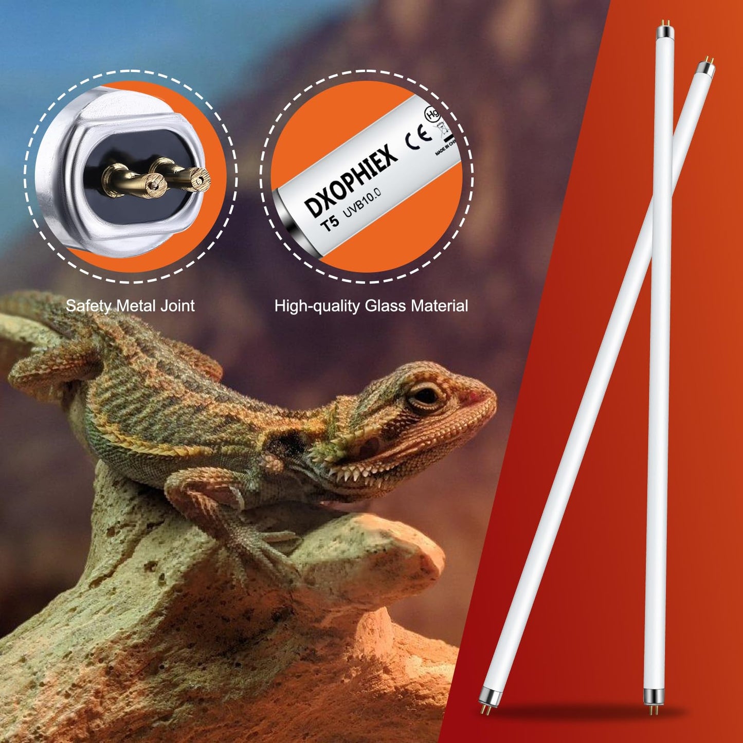 10.0 T5 UVB Reptile Light 2 Pack 24W Reptile UVB Bulb,UVA UVB Reptile Light Bulb,UVB Light for Reptiles for Bearded Dragon,Chameleon,Tortoises, Lizards and Turtles