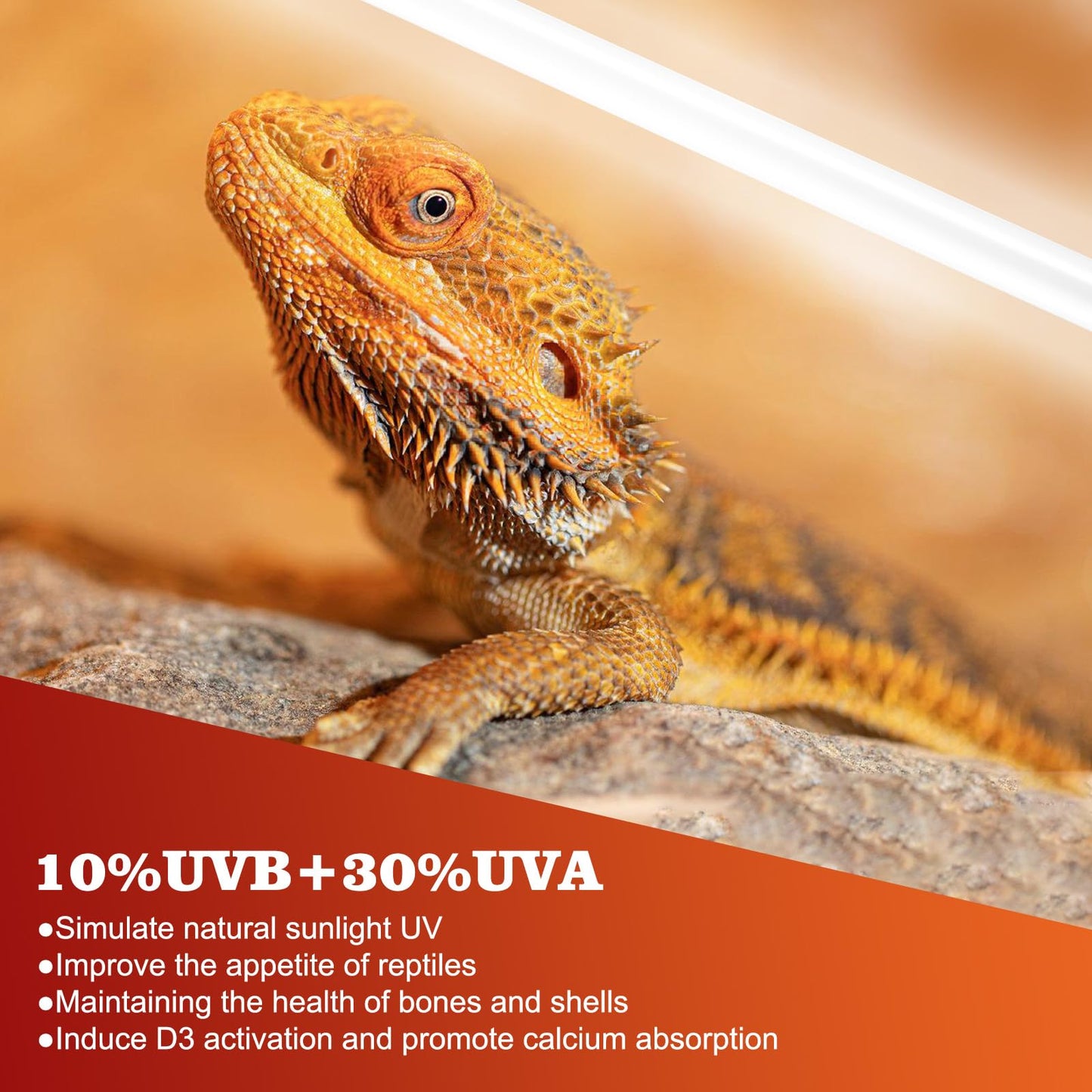 10.0 T5 UVB Reptile Light 2 Pack 24W Reptile UVB Bulb,UVA UVB Reptile Light Bulb,UVB Light for Reptiles for Bearded Dragon,Chameleon,Tortoises, Lizards and Turtles