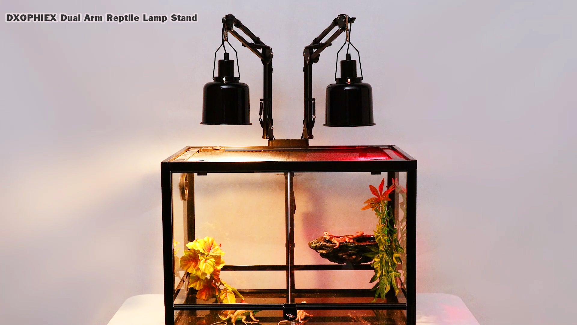 Dual Reptile Lamp Stand Reptile Light Stand with Two Flexible